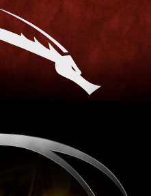 BackTrack 5 R2 – VirtualBox Guest Additions + USB Issues Fixes