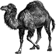 How to Install iOS Perl Framework on iPhone, iPod Touch or iPad